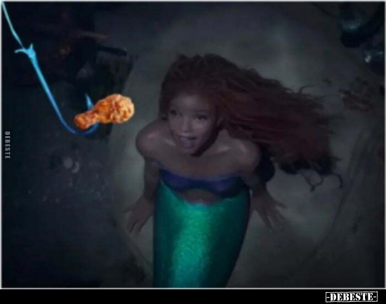  - Lustige Bilder | DEBESTE.de