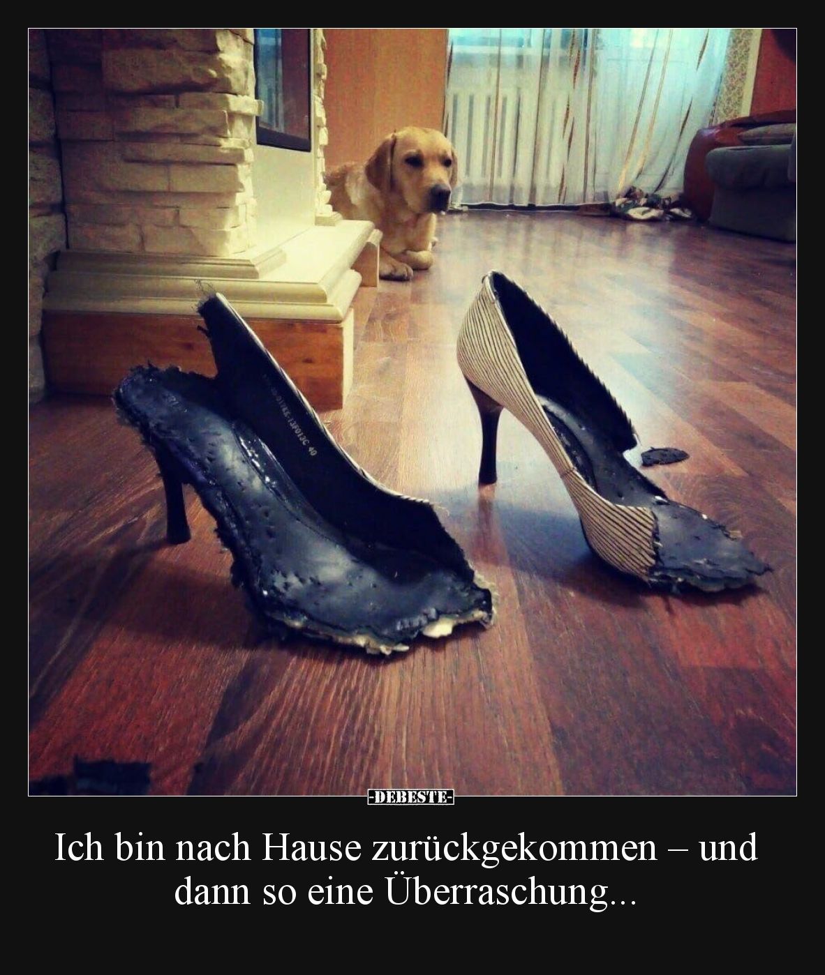 Ich bin nach Hause zurückgekommen – und dann so eine Überraschung...