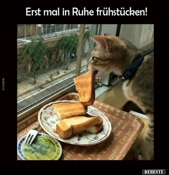 Erst mal in Ruhe frühstücken!.. - Lustige Bilder | DEBESTE.de