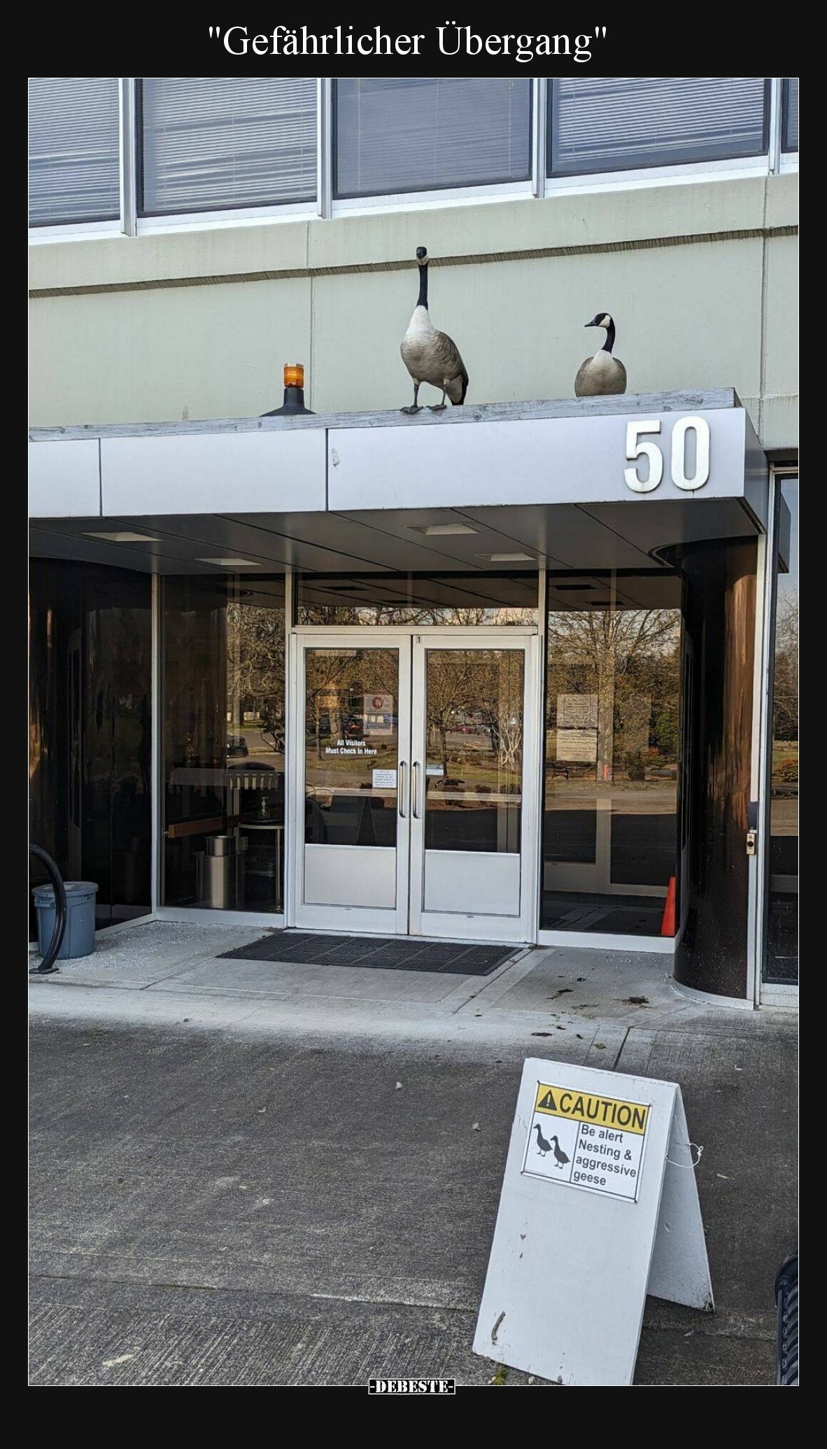 Gefährlicher Übergang