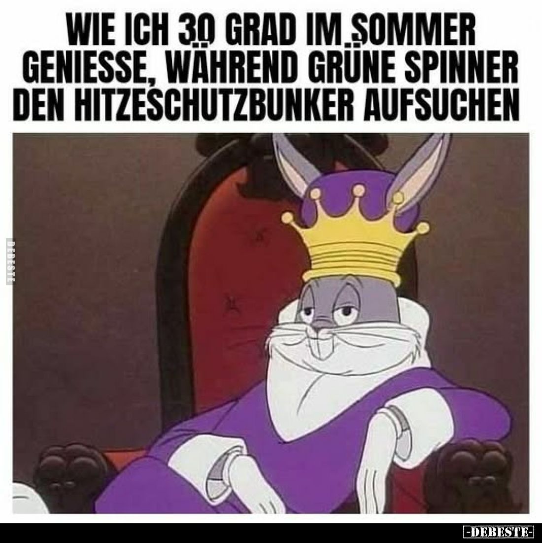 Wie ich 30 Grad im Sommer genieße, während grüne Spinner den Hitzeschutzbunker aufsuchen.