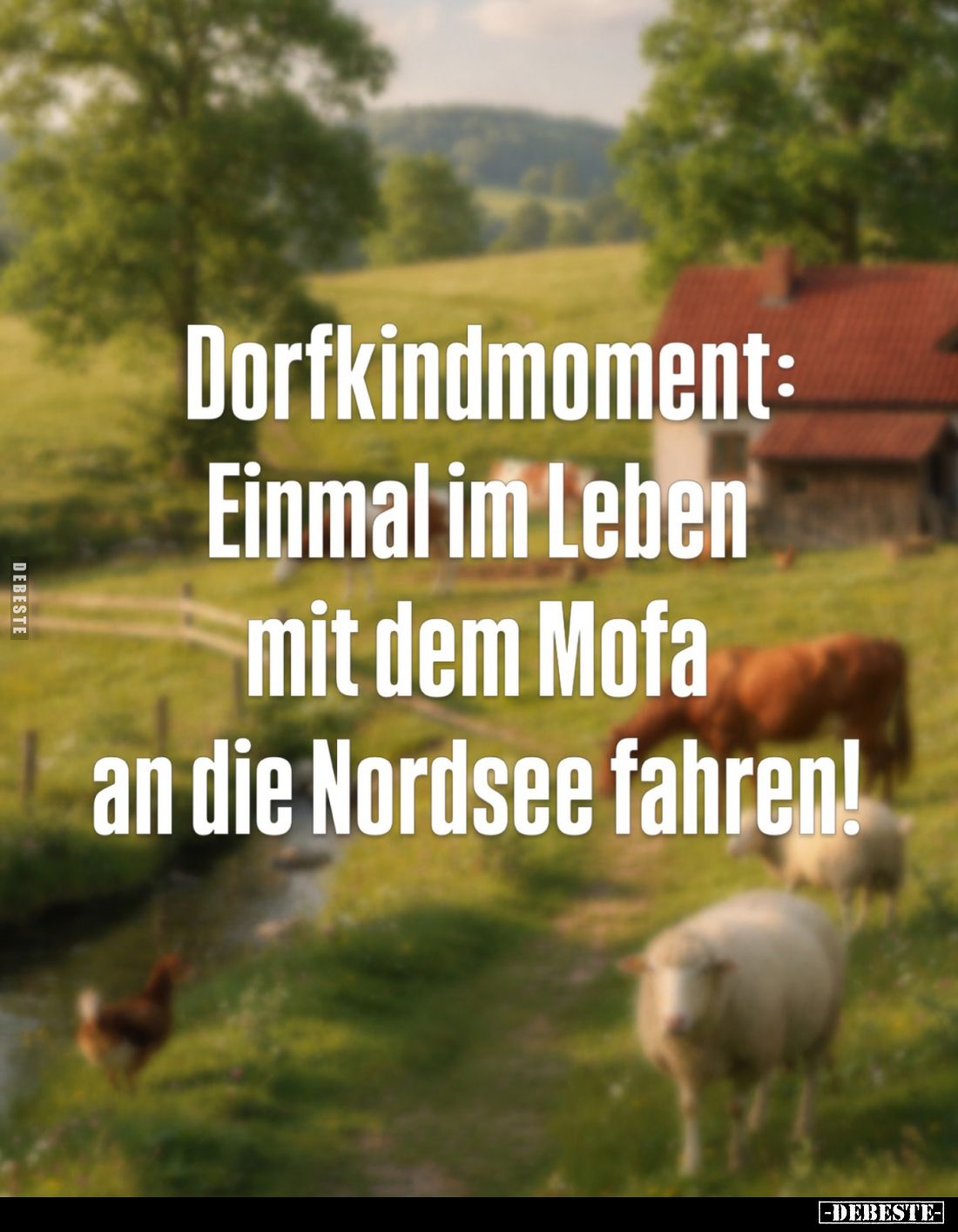 Dorfkindmoment: Einmal im Leben mit dem Mofa an die Nordsee fahren!