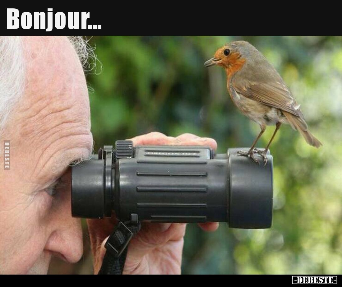 Bonjour...