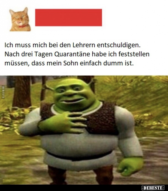 Ich muss mich bei den Lehrern entschuldigen...