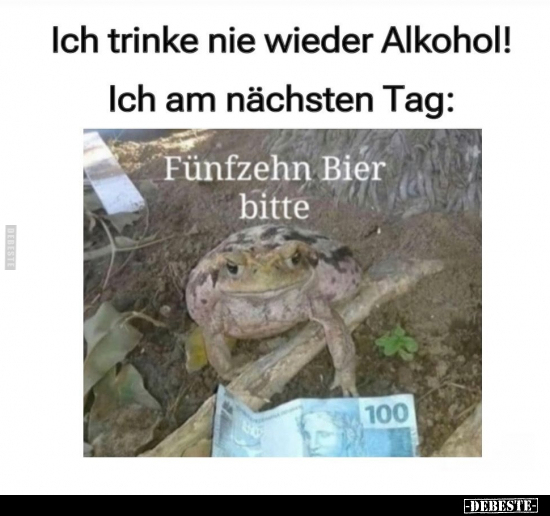 Ich trinke nie wieder Alkohol.. - Lustige Bilder | DEBESTE.de