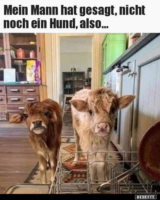 Mein Mann hat gesagt, nicht noch ein Hund, also….. - Lustige Bilder | DEBESTE.de