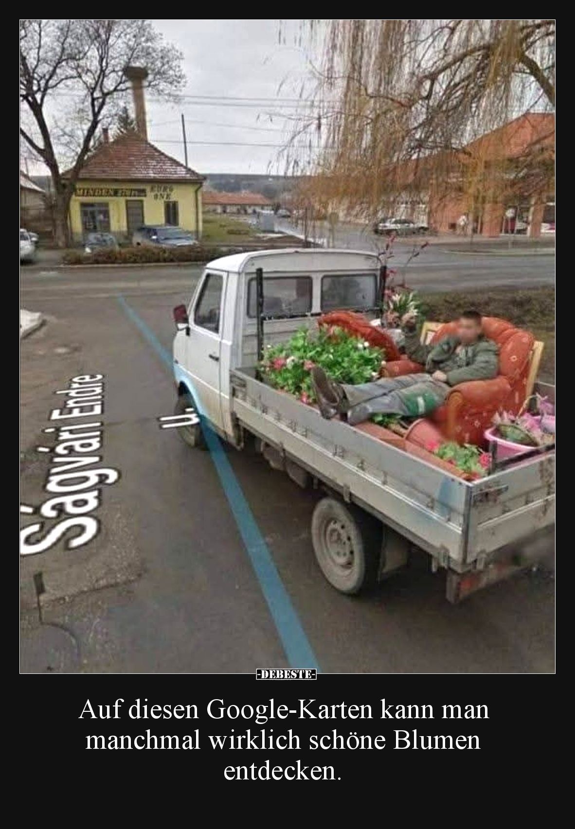 Auf diesen Google-Karten kann man manchmal wirklich schöne Blumen entdecken.