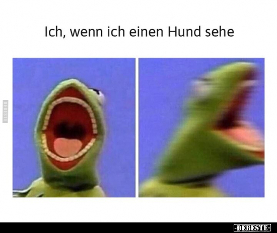 Ich, wenn ich einen Hund sehe.. - Lustige Bilder | DEBESTE.de