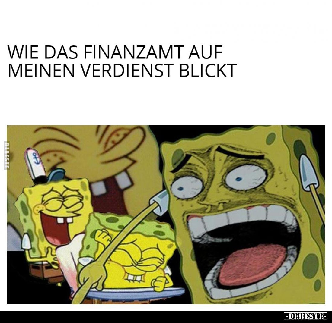 Wie das Finanzamt auf meinen Verdienst blickt