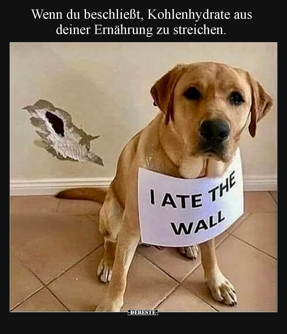 Wenn du beschließt, Kohlenhydrate aus deiner Ernährung zu streichen.