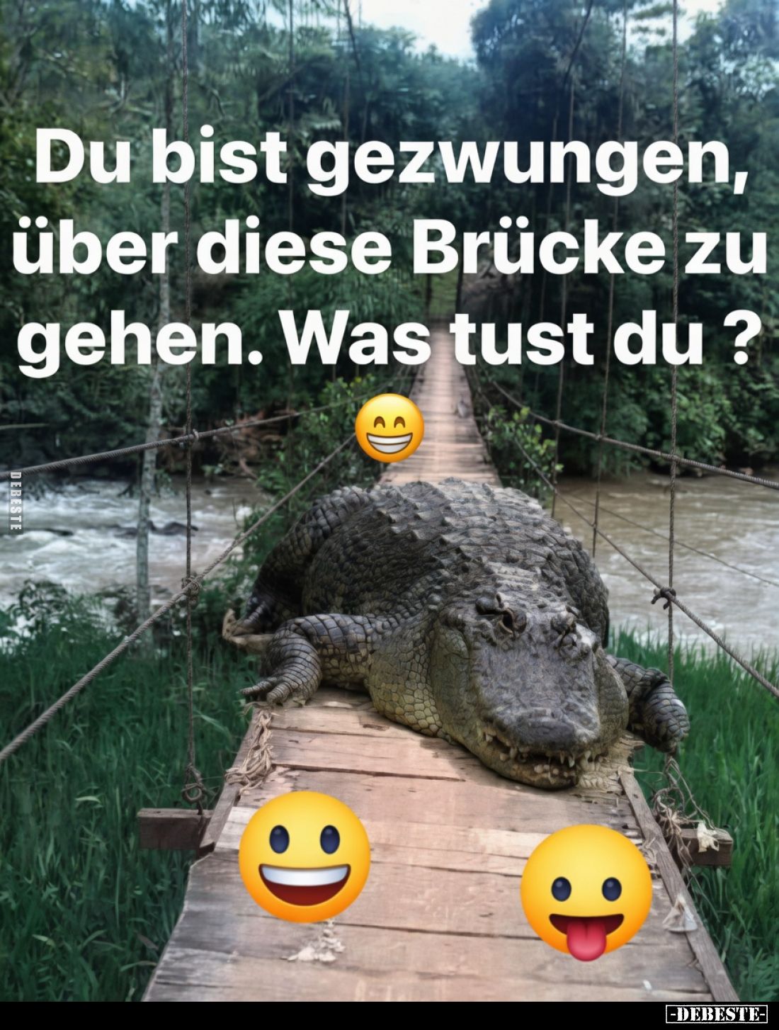 Du bist gezwungen, über diese Brücke zu gehen. Was tust du?
