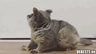 Hey, nicht aufhören..