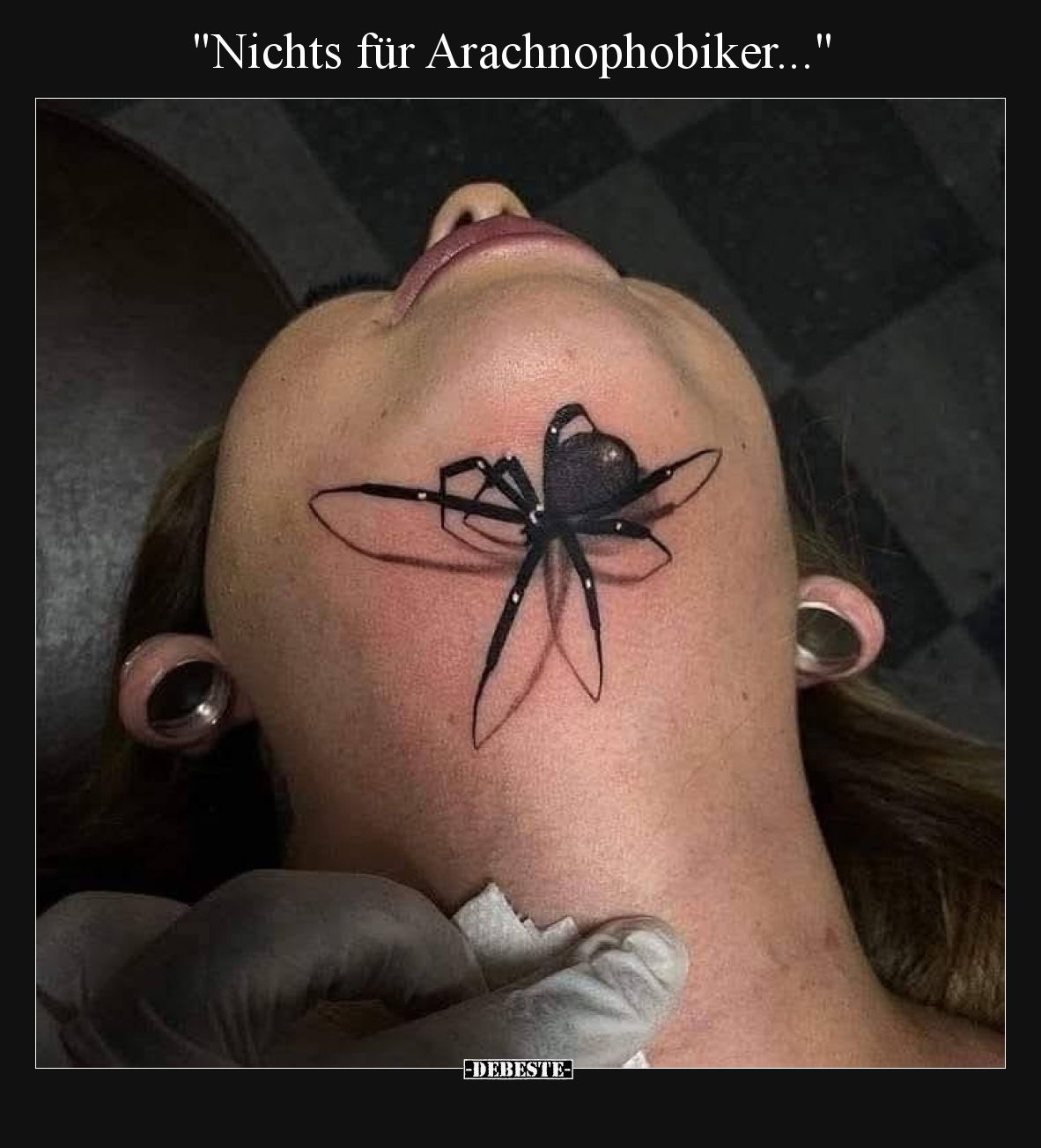 Nichts für Arachnophobiker