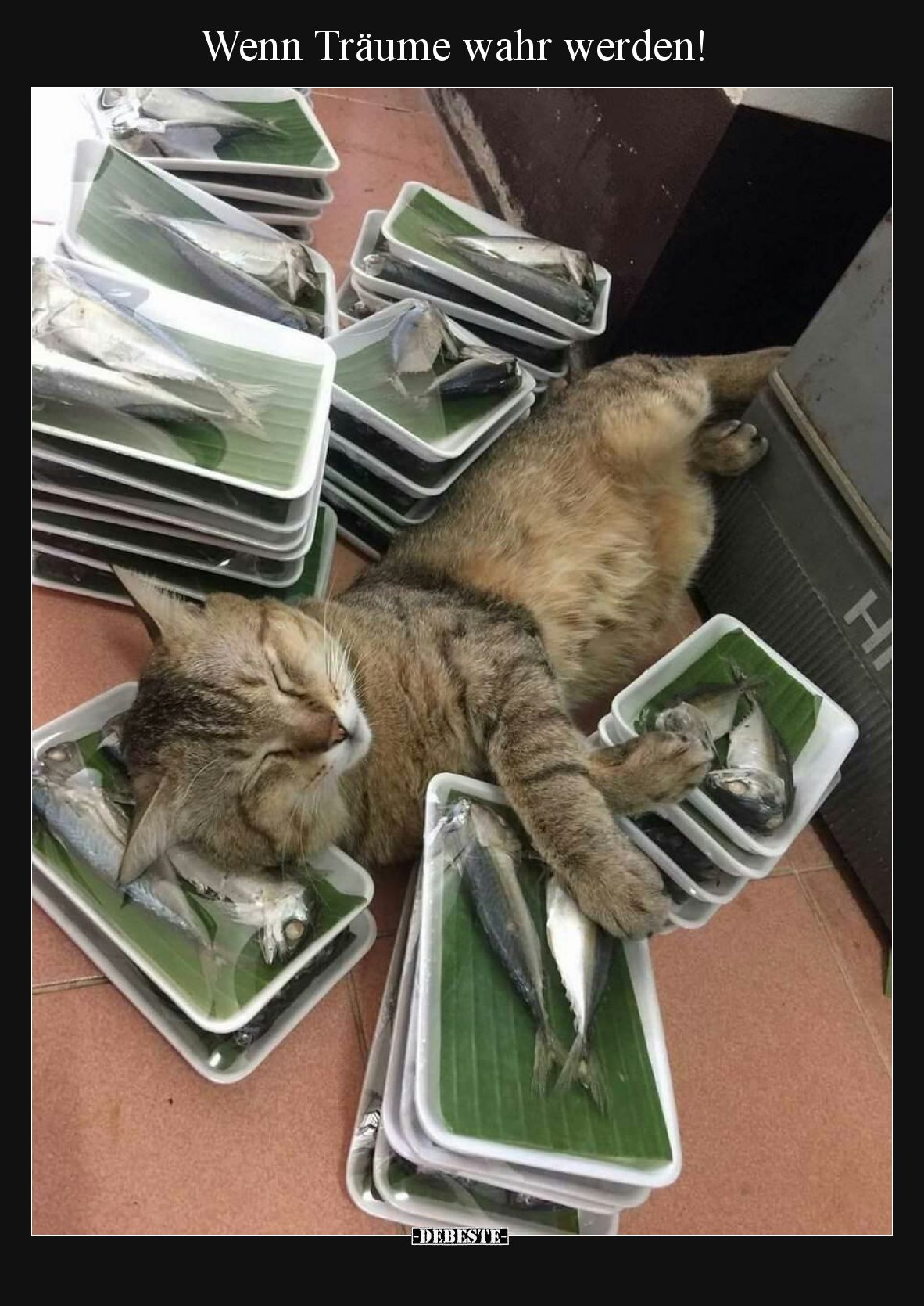 Wenn Träume wahr werden!