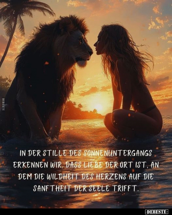 In der Stille des Sonnenuntergangs erkennen wir, dass Liebe.. - Lustige Bilder | DEBESTE.de