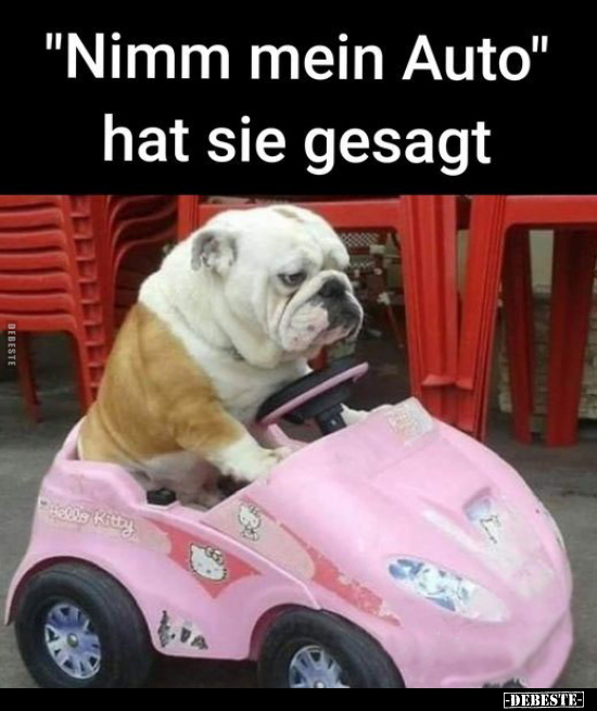 "Nimm mein Auto" hat sie gesagt.. - Lustige Bilder | DEBESTE.de