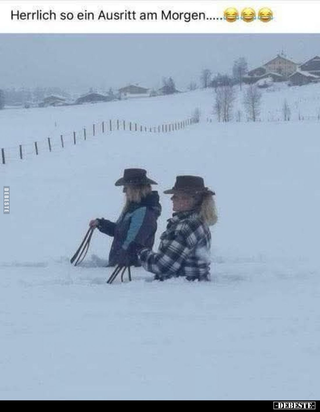 Herrlich so ein Ausritt am Morgen.....