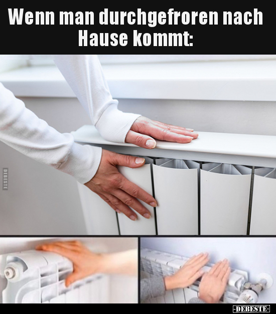 Wenn man durchgefroren nach Hause kommt.. - Lustige Bilder | DEBESTE.de