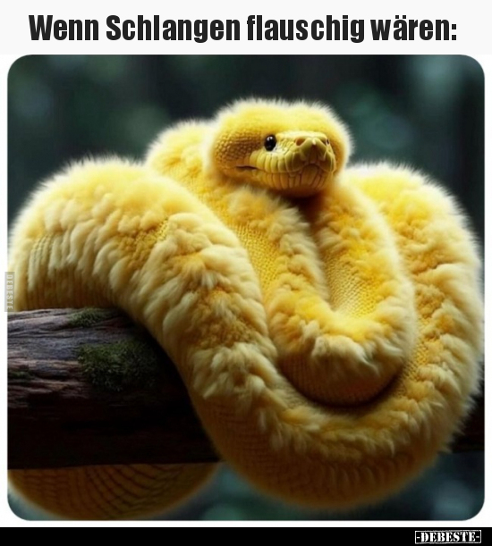 Wenn Schlangen flauschig wären.. - Lustige Bilder | DEBESTE.de