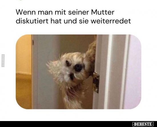 Wenn man mit seiner Mutter diskutiert hat.. - Lustige Bilder | DEBESTE.de