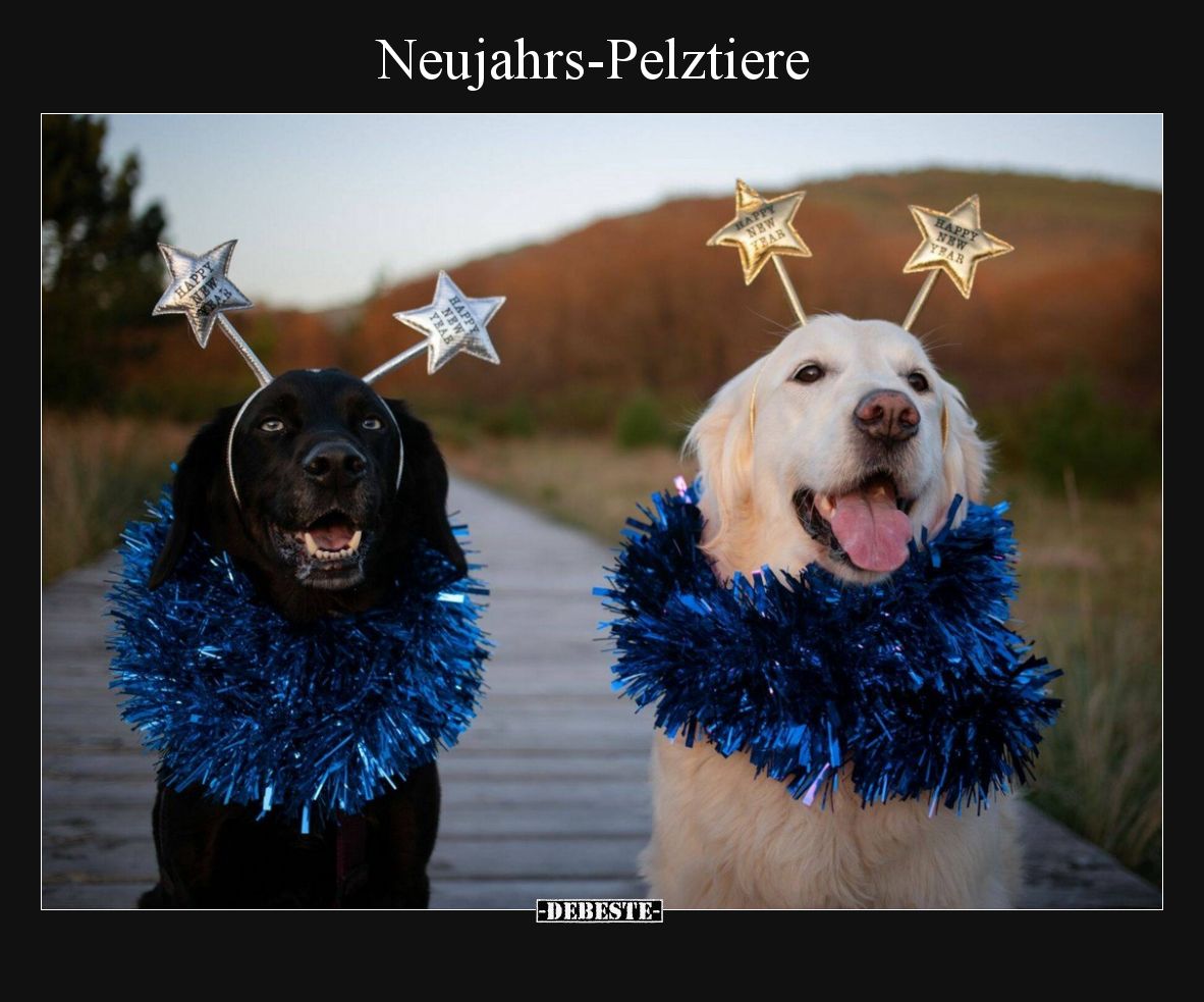 Neujahrs-Pelztiere