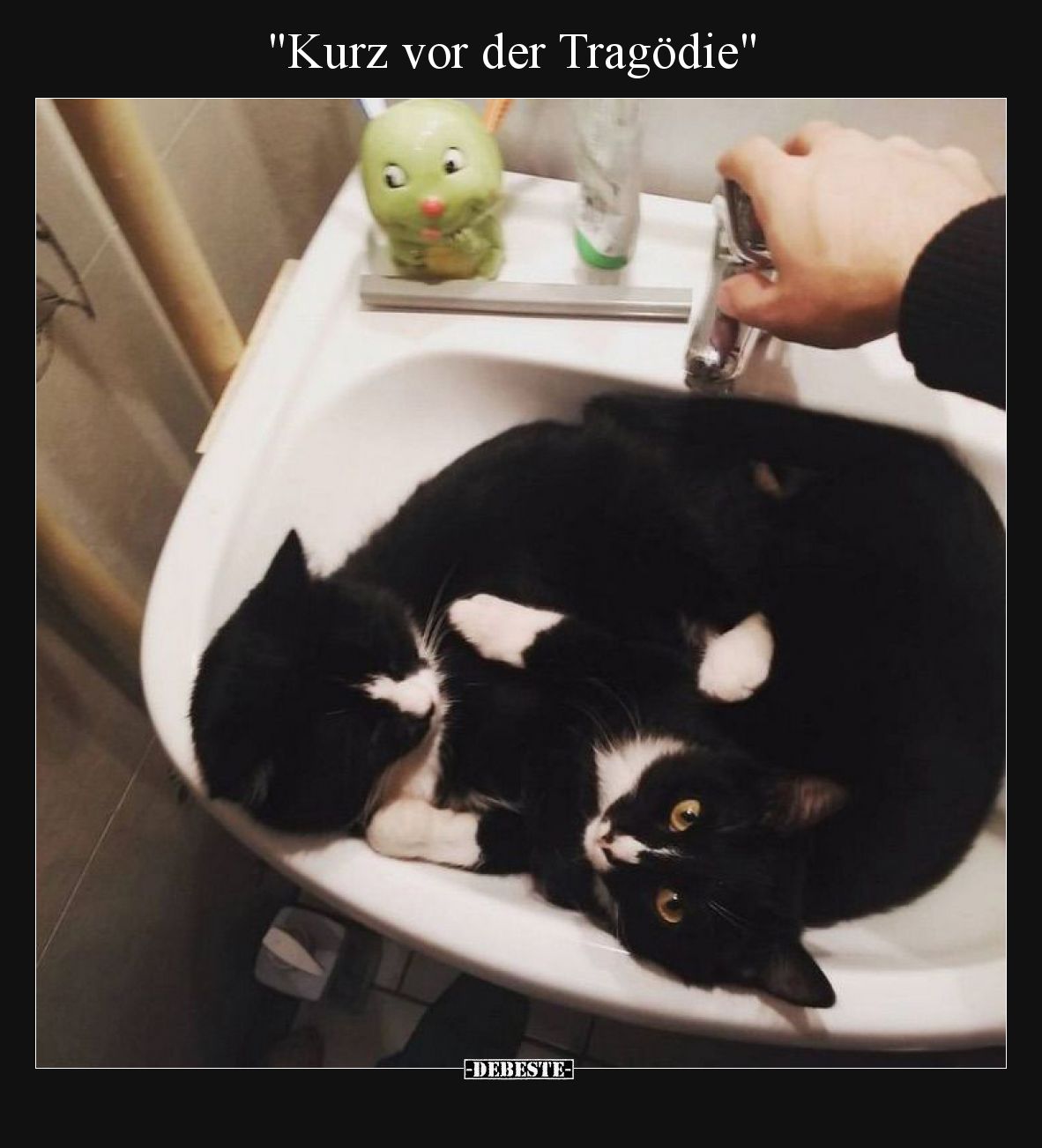 Kurz vor der Tragödie