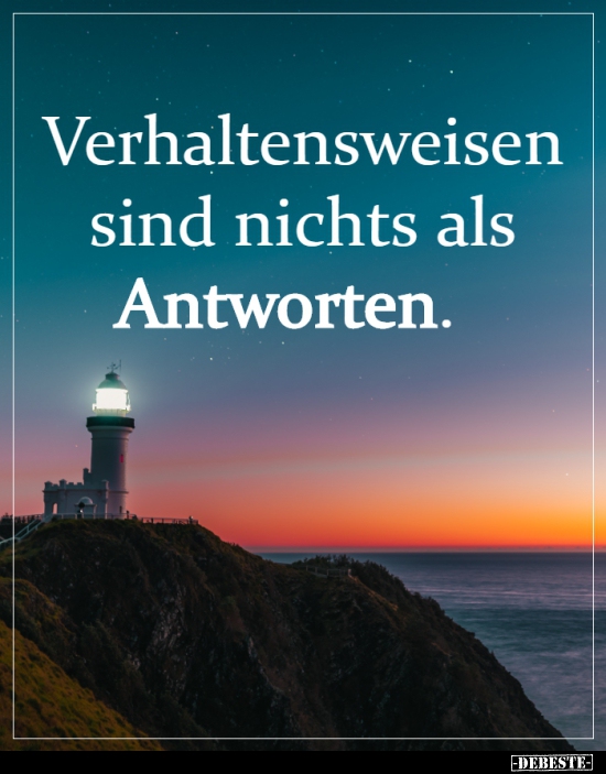 Verhaltensweisen sind nichts als Antworten...