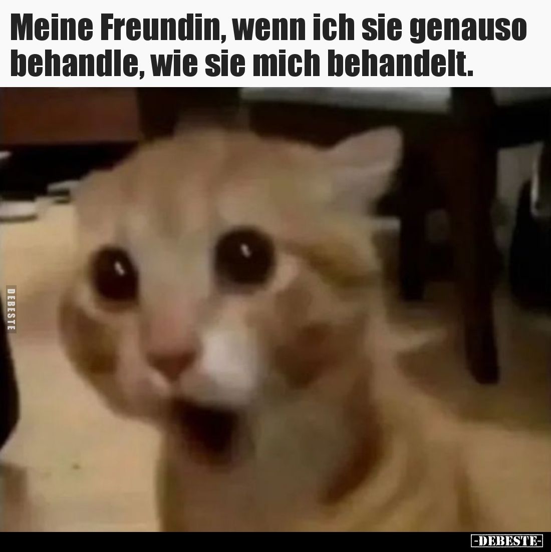 Meine Freundin, wenn ich sie genauso behandle, wie sie mich.. - Lustige Bilder | DEBESTE.de