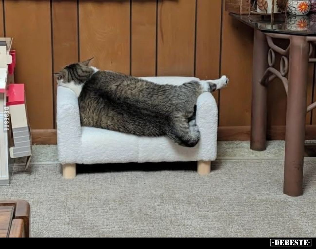 Chonker