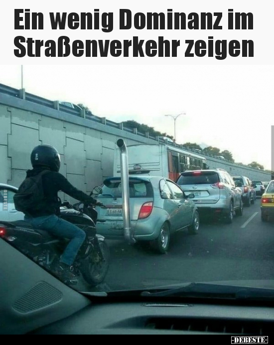 Ein wenig Dominanz im Straßenverkehr zeigen.. - Lustige Bilder | DEBESTE.de