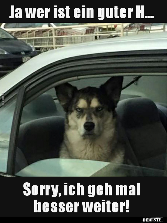 Ja wer ist ein guter H...
