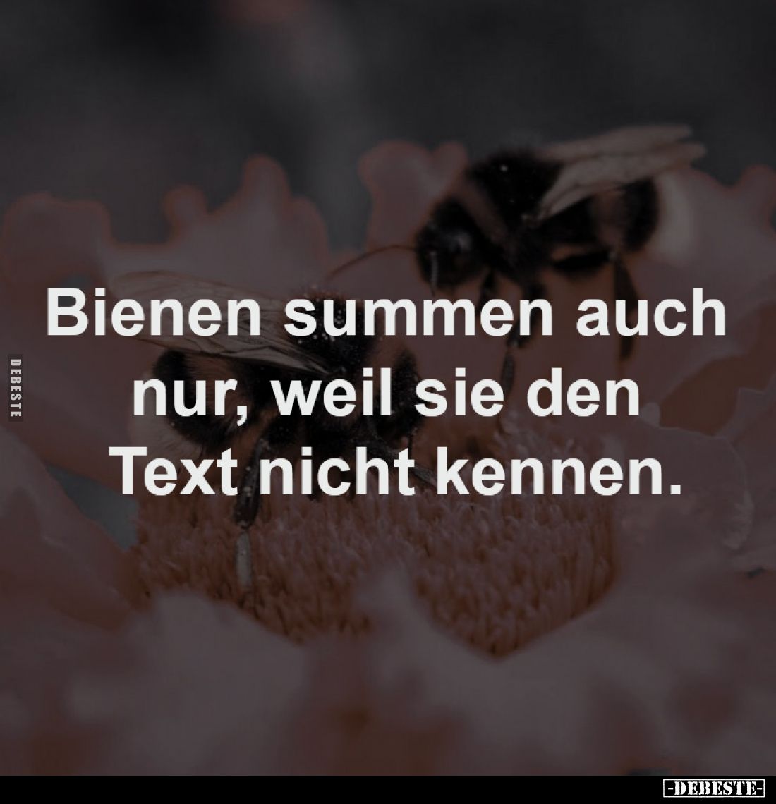 Bienen summen auch
nur, weil sie den
Text nicht kennen.