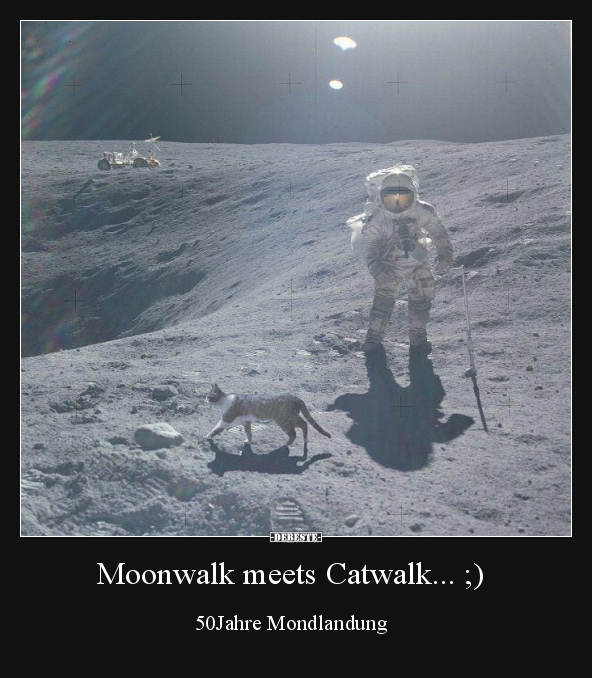 Moonwalk meets Catwalk...