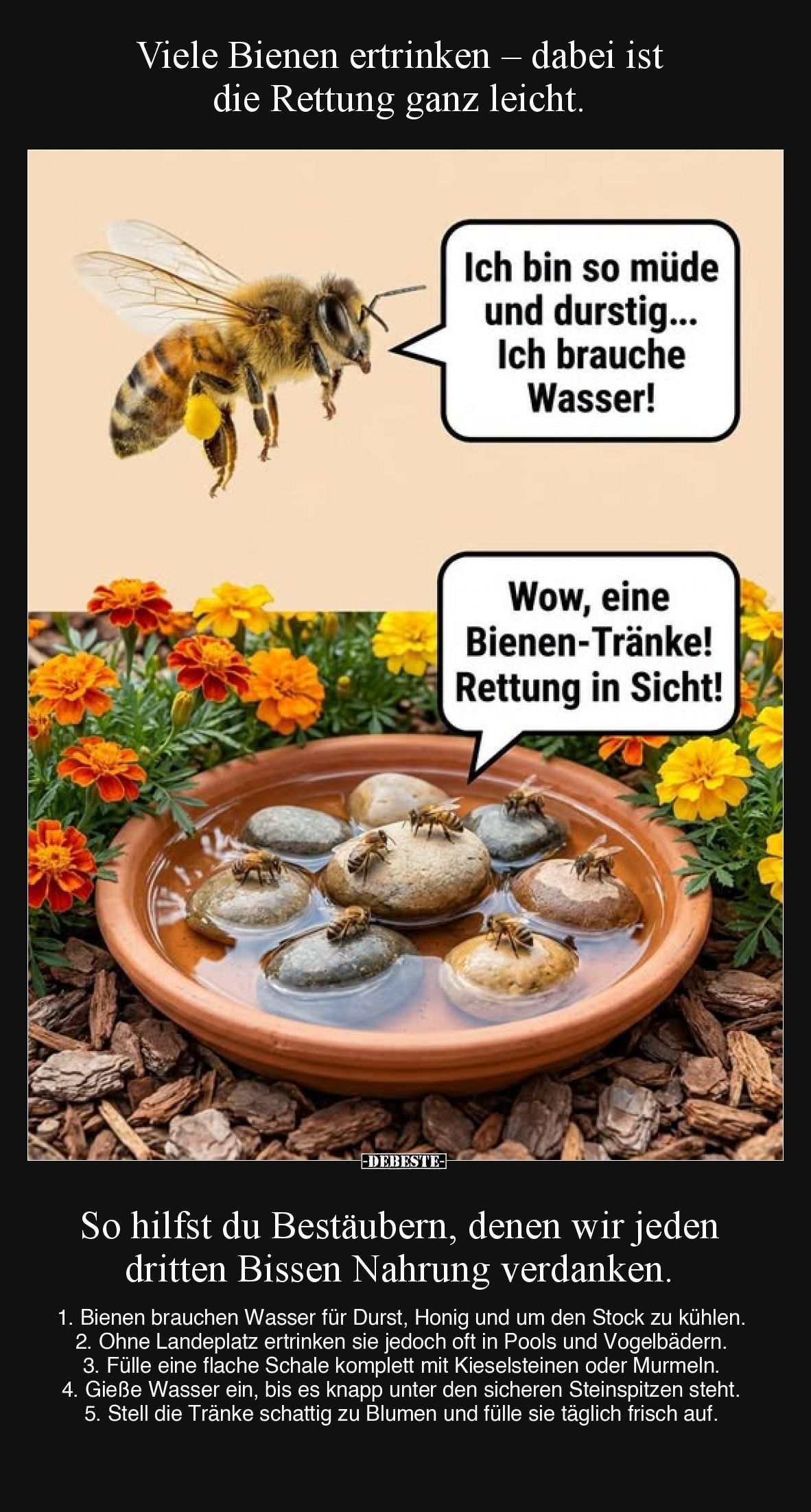 Ich bin so müde und durstig...
Ich brauche Wasser!
-
Wow, eine Bienen-Tränke! Rettung in Sicht!
-
Viele Bienen ertrink...