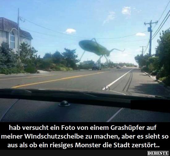 Hab versucht ein Foto von einem Grashüpfer.. - Lustige Bilder | DEBESTE.de