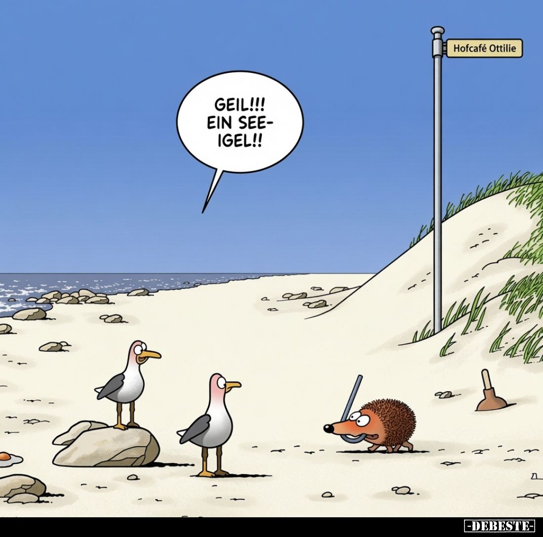 Geil! Ein Seeigel!