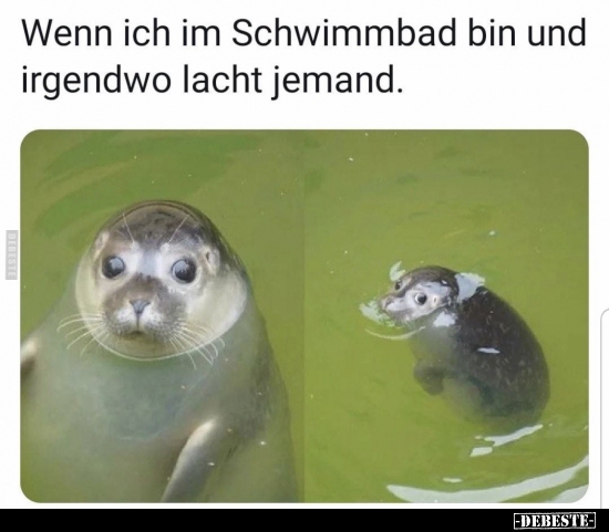 Wenn ich im Schwimmbad bin und irgendwo lacht jemand... - Lustige Bilder | DEBESTE.de