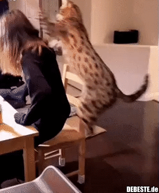 Sag mal Karen, gehts noch?