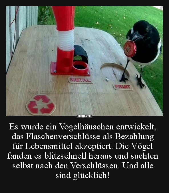 Es wurde ein Vogelhäuschen entwickelt, das.. - Lustige Bilder | DEBESTE.de