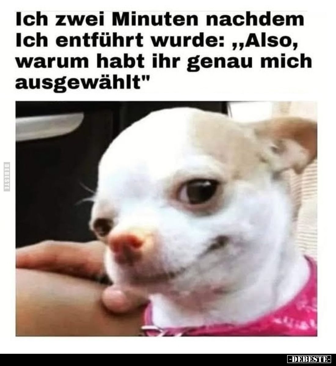 Ich zwei Minuten nachdem Ich entführt wurde: "Also, warum habt ihr genau mich ausgewählt".