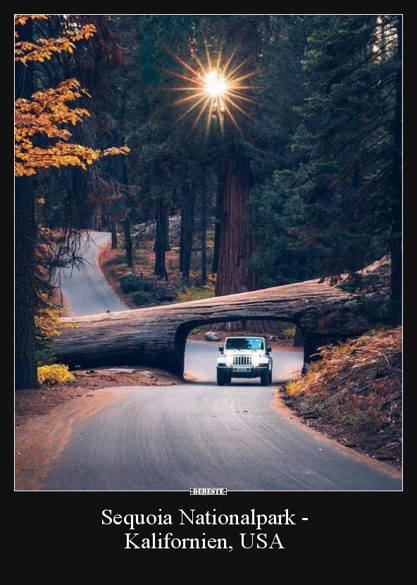 Sequoia Nationalpark - Kalifornien, USA.. - Lustige Bilder | DEBESTE.de