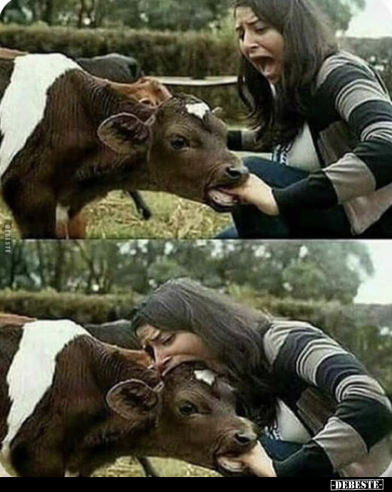  - Lustige Bilder | DEBESTE.de