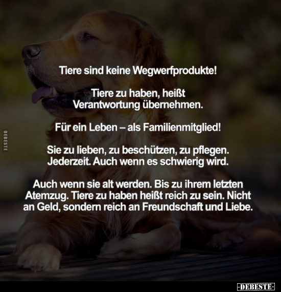 Tiere sind keine Wegwerfprodukte.. - Lustige Bilder | DEBESTE.de