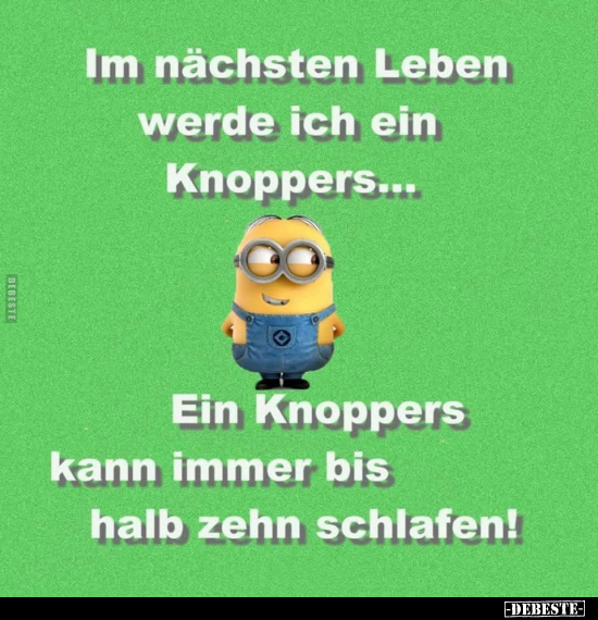 Im nächsten Leben werde ich ein Knoppers... - Lustige Bilder | DEBESTE.de