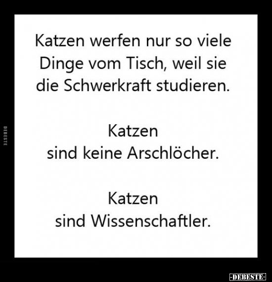 Katzen werfen nur so viele Dinge vom Tisch.. - Lustige Bilder | DEBESTE.de