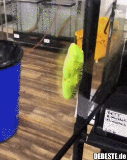  - Lustige Bilder | DEBESTE.de