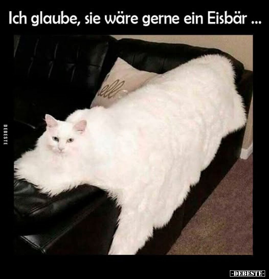 Ich glaube, sie wäre gerne ein Eisbär...