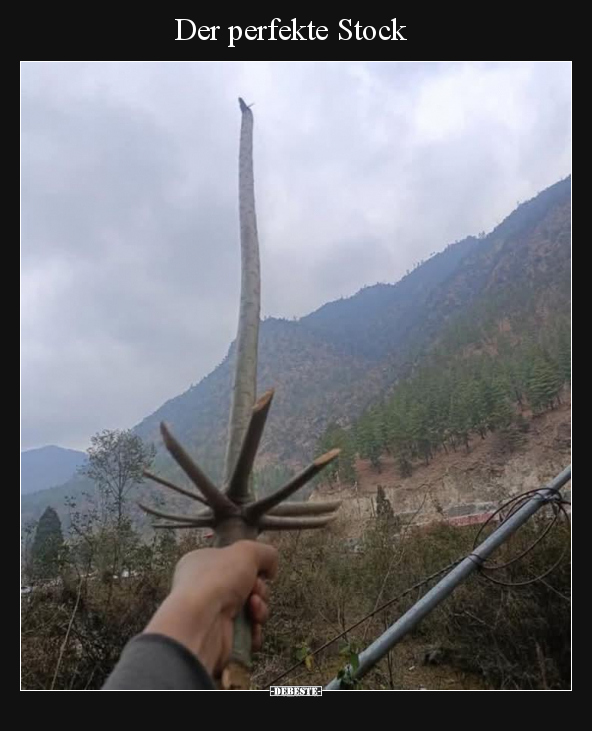 Der perfekte Stock.. - Lustige Bilder | DEBESTE.de