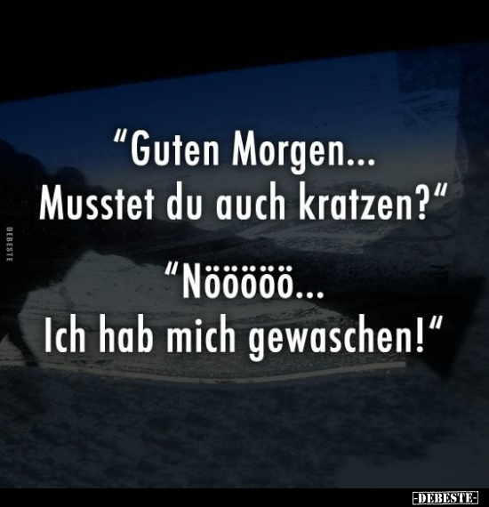 "Guten Morgen... Musstet du auch kratzen?".. - Lustige Bilder | DEBESTE.de