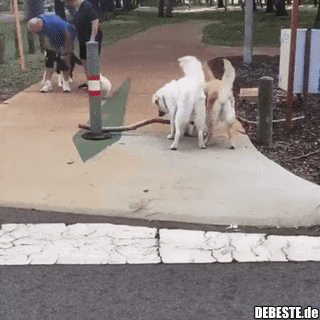 Gemeinsam sind wir stärker..